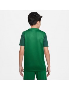 Nike Trophy V JSY Junior Tshirt DR0942 302 2