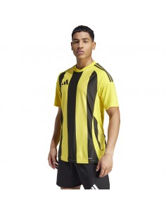 Adidas STRIPED 24 JSY Tshirt IW2146 2