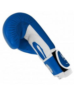Leather boxing gloves MASTERS RBTTRW 0121002