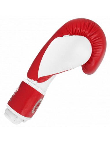 Leather boxing gloves MASTERS RBTTRW 0121002 Leather boxing gloves MASTERS RBTTRW 0121002