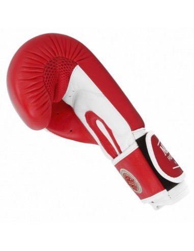 Leather boxing gloves MASTERS RBTTRW 0121002 Leather boxing gloves MASTERS RBTTRW 0121002