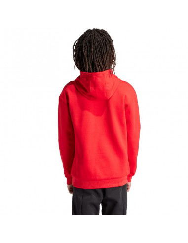 Adidas FI Bos Hd Oly M sweatshirt IS8338 Adidas FI Bos Hd Oly M sweatshirt IS8338