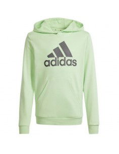 Adidas Big Logo Hoodie Jr IS2591 sweatshirt