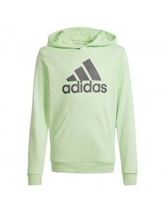 Adidas Big Logo Hoodie Jr IS2591 sweatshirt 2