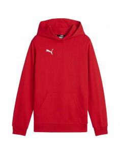 Puma Team Goal Casuals Hoddy Jr sweatshirt 658619 01