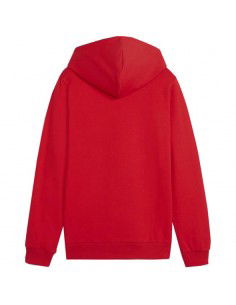 Puma Team Goal Casuals Hoddy Jr sweatshirt 658619 01 2