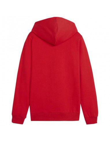 Puma Team Goal Casuals Hoddy Jr sweatshirt 658619 01 Puma Team Goal Casuals Hoddy Jr sweatshirt 658619 01