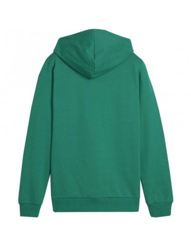 Puma Team Goal Casuals Hoddy Jr sweatshirt 658619 05 Puma Team Goal Casuals Hoddy Jr sweatshirt 658619 05