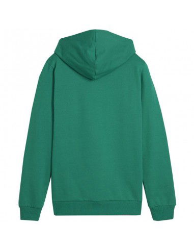 Puma Team Goal Casuals Hoddy Jr sweatshirt 658619 05 Puma Team Goal Casuals Hoddy Jr sweatshirt 658619 05