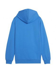 Puma Team Goal Casuals Hoddy Jr sweatshirt 658619 02 2