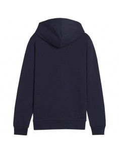 Puma Team Goal Casuals Hoddy Jr sweatshirt 658619 06 2