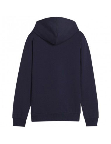 Puma Team Goal Casuals Hoddy Jr sweatshirt 658619 06 Puma Team Goal Casuals Hoddy Jr sweatshirt 658619 06