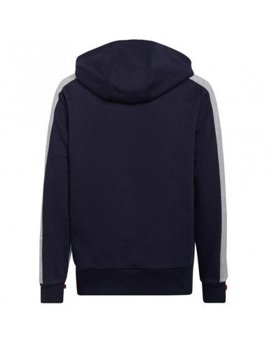 Adidas Colorblock Fleece Jr HC5659 sweatshirt Adidas Colorblock Fleece Jr HC5659 sweatshirt