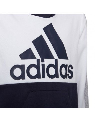Adidas Colorblock Fleece Jr HC5659 sweatshirt Adidas Colorblock Fleece Jr HC5659 sweatshirt