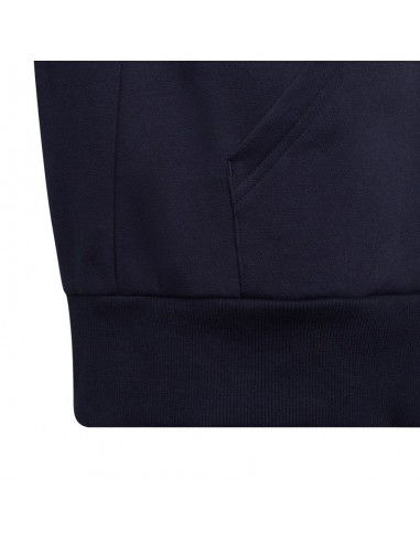 Adidas Colorblock Fleece Jr HC5659 sweatshirt Adidas Colorblock Fleece Jr HC5659 sweatshirt