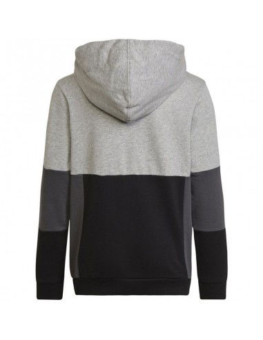 Adidas Colourblock Hoodie Jr HN8563 sweatshirt Adidas Colourblock Hoodie Jr HN8563 sweatshirt