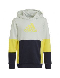 Adidas Colourblock Hoodie Jr HN8567 sweatshirt