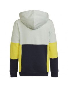 Adidas Colourblock Hoodie Jr HN8567 sweatshirt 2