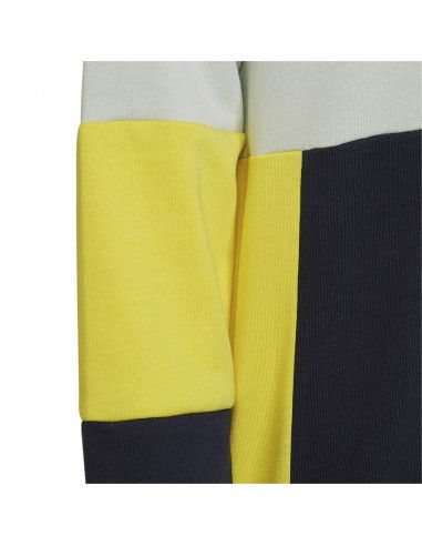 Adidas Colourblock Hoodie Jr HN8567 sweatshirt Adidas Colourblock Hoodie Jr HN8567 sweatshirt