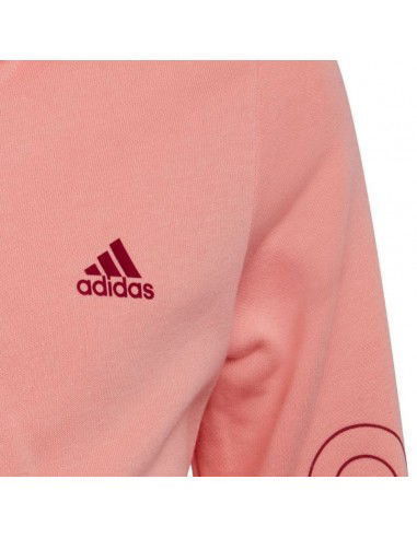 Adidas Jr HE1968 sweatshirt Adidas Jr HE1968 sweatshirt