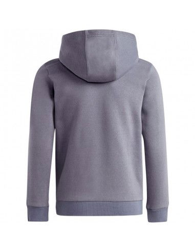 Adidas Tiro 23 League Sweat Hoodie Jr HZ3016 Adidas Tiro 23 League Sweat Hoodie Jr HZ3016