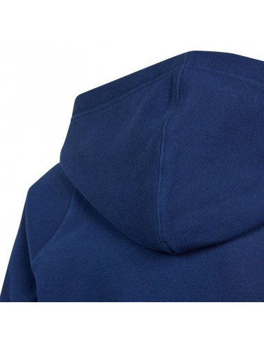 Adidas Tiro 24 Sweat Hoodie Jr IR7504 Adidas Tiro 24 Sweat Hoodie Jr IR7504