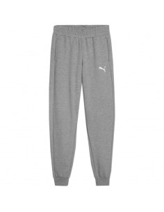 Puma Team Goal Jr pants 658601 33