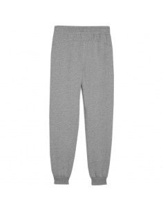 Puma Team Goal Jr pants 658601 06 2