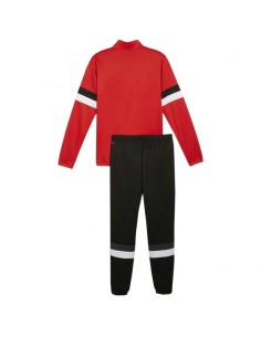 Puma Team Rise M tracksuit 658653 01 2