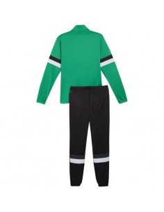 Puma Team Rise M tracksuit 658653 05 2