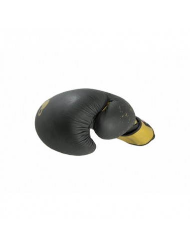 Boxing gloves Masters Rbt 01256Gold10 Boxing gloves Masters Rbt 01256Gold10