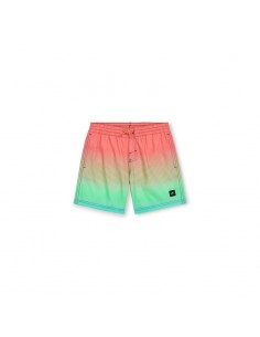 O'Neill Jack Cali Gradient 14'' Swim Shorts Jr 92800613570