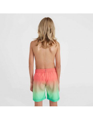 O'Neill Jack Cali Gradient 14'' Swim Shorts Jr 92800613570 O'Neill Jack Cali Gradient 14'' Swim Shorts Jr 92800613570