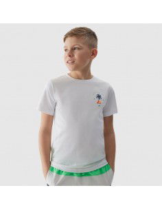 TShirt 4F 4FJWSS24TTSHM1130 10S