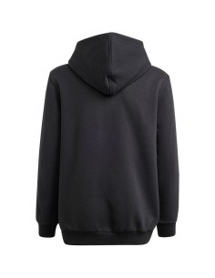 Adidas Allszn GFX HD Jr sweatshirt IS4661 2