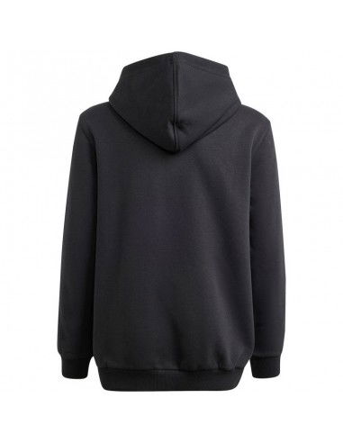 Adidas Allszn GFX HD Jr sweatshirt IS4661 Adidas Allszn GFX HD Jr sweatshirt IS4661