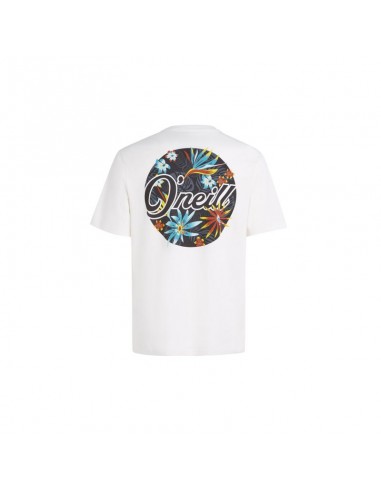 O'Neill Beach Graphic TShirt M 92800613984 O'Neill Beach Graphic TShirt M 92800613984