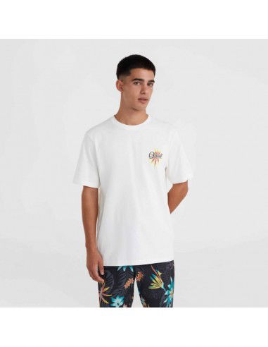 O'Neill Beach Graphic TShirt M 92800613984 O'Neill Beach Graphic TShirt M 92800613984