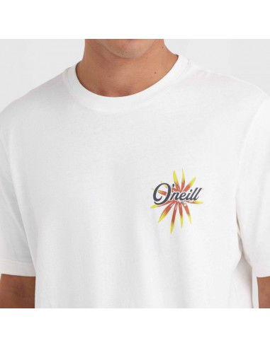 O'Neill Beach Graphic TShirt M 92800613984 O'Neill Beach Graphic TShirt M 92800613984