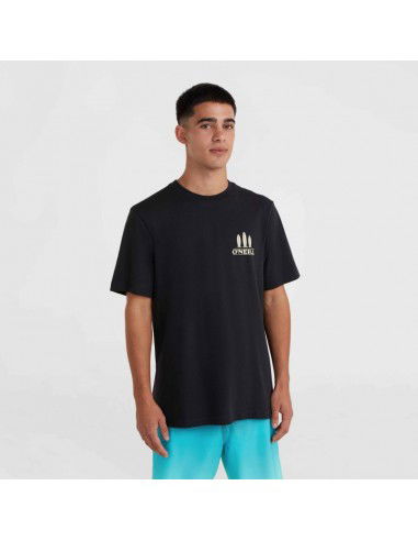 O'Neill Beach Graphic TShirt M 92800613988 O'Neill Beach Graphic TShirt M 92800613988