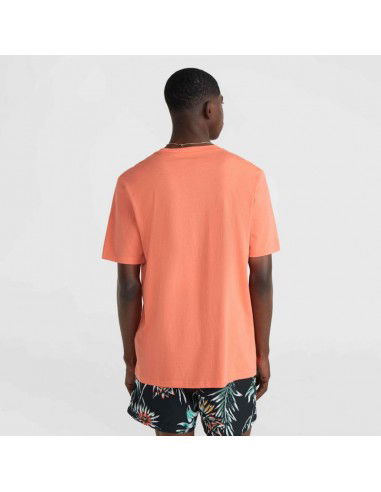 O'Neill Mix Match Palm TShirt M 92800613905 O'Neill Mix Match Palm TShirt M 92800613905