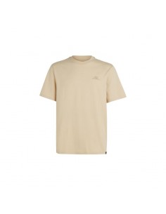 O'Neill Small Logo TShirt M 92800613999