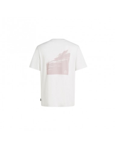 O'Neill Og Bt TShirt M 92800613964 O'Neill Og Bt TShirt M 92800613964