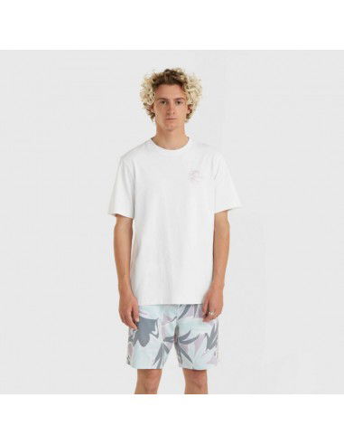 O'Neill Og Bt TShirt M 92800613964 O'Neill Og Bt TShirt M 92800613964