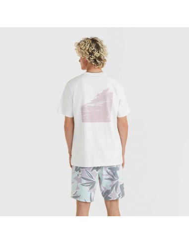 O'Neill Og Bt TShirt M 92800613964 O'Neill Og Bt TShirt M 92800613964