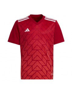 adidas Team Icon 23 Jr HR2652 Tshirt