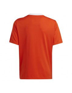 Adidas Team Icon 23 Jr Tshirt IC1254 2