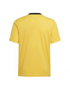 Adidas Team Icon 23 Jr Tshirt IC1253 2