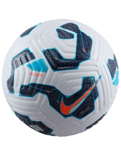 Nike Flight FZ3023100 ball 2