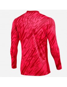 Nike Gardien V Goalkeeper DF V sweatshirt FD7474644 2